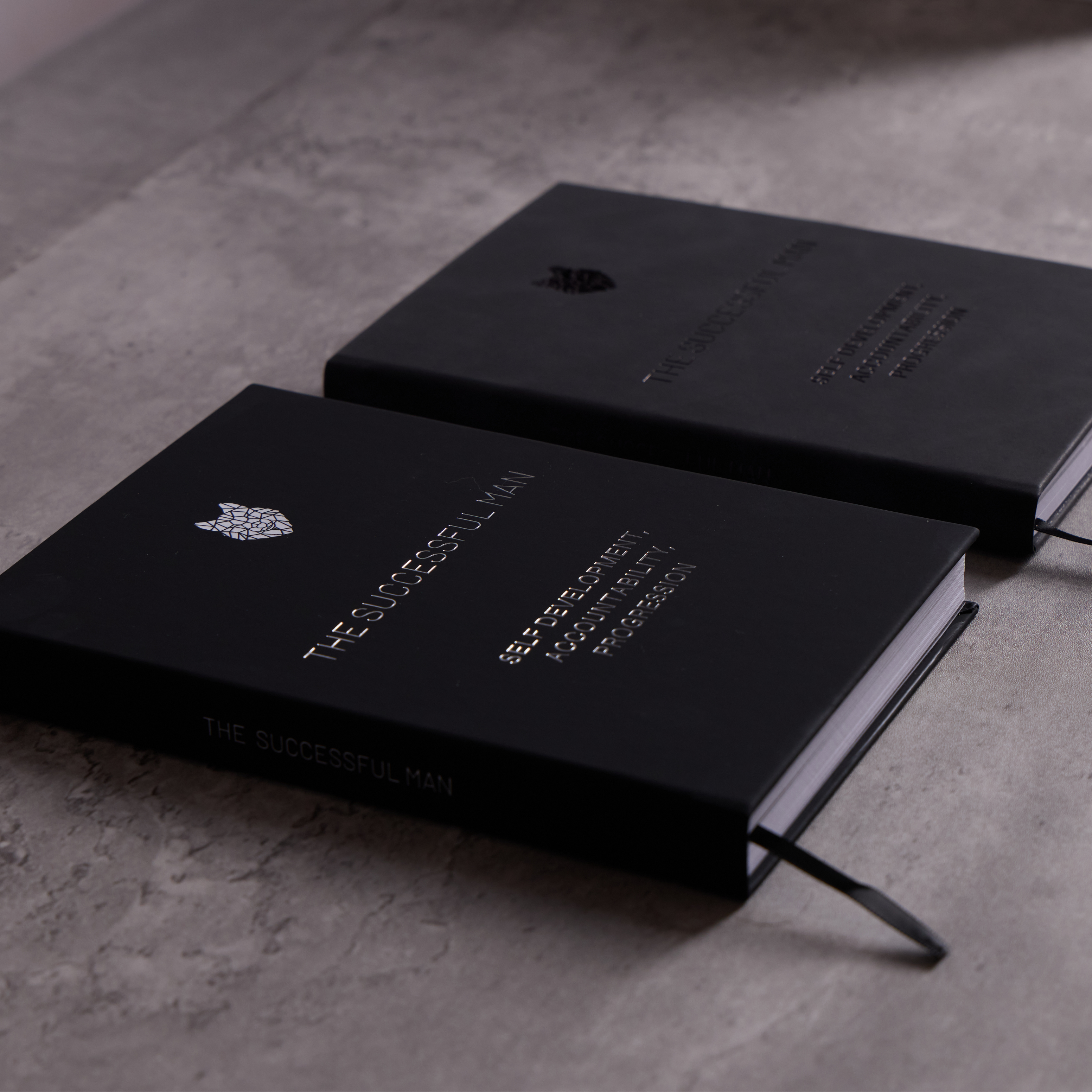 The Successful Man 1+2