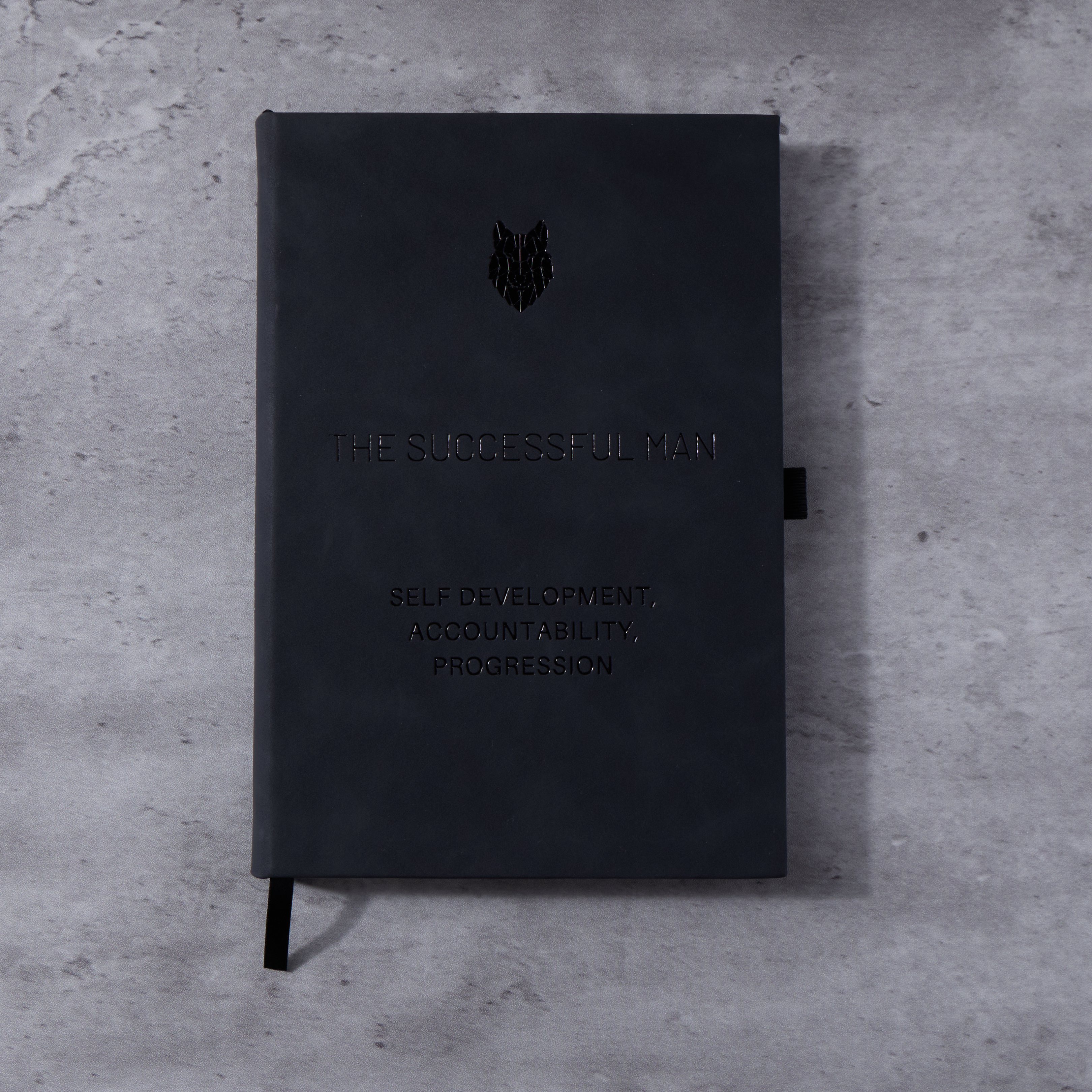 The Successful Man 2