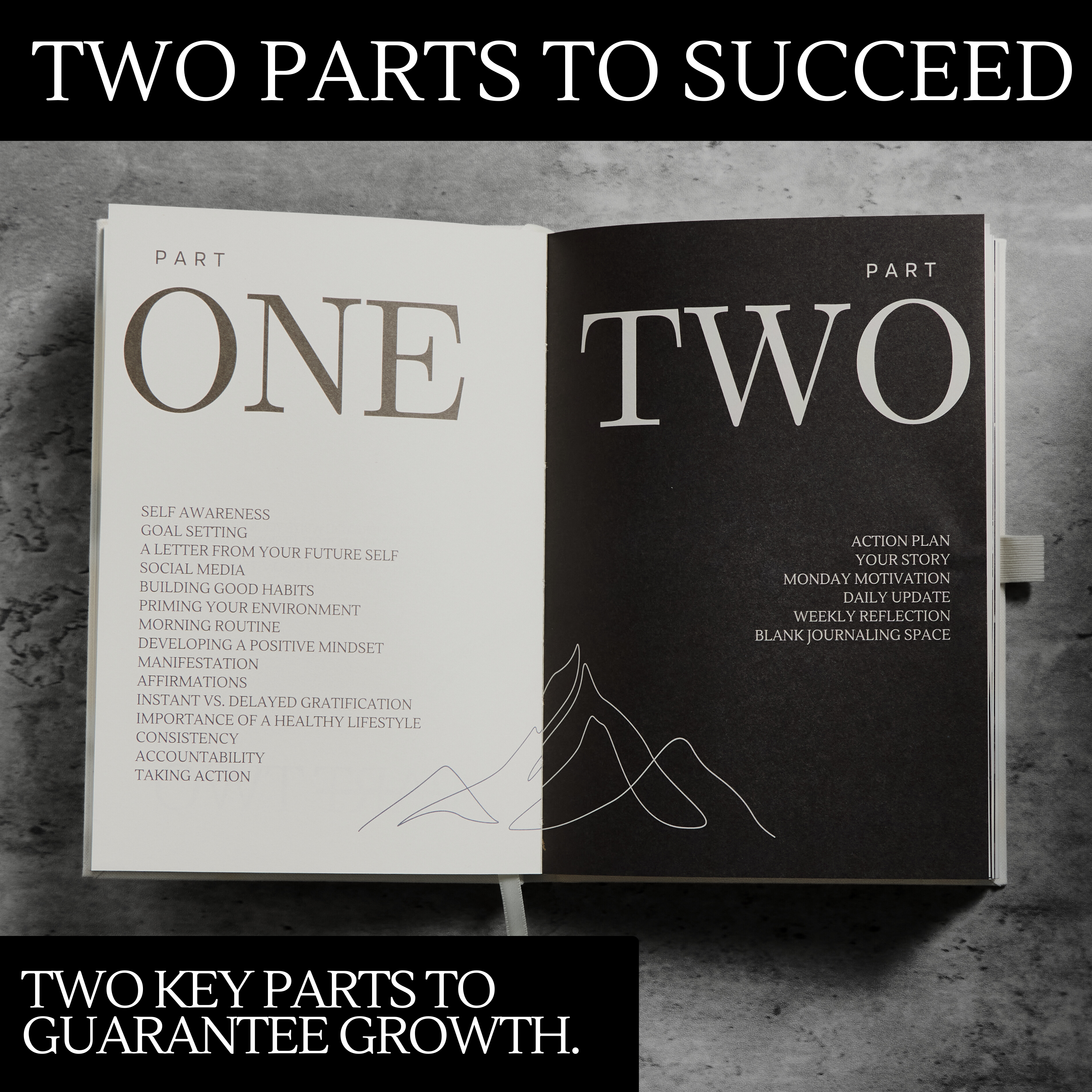 The Successful Woman