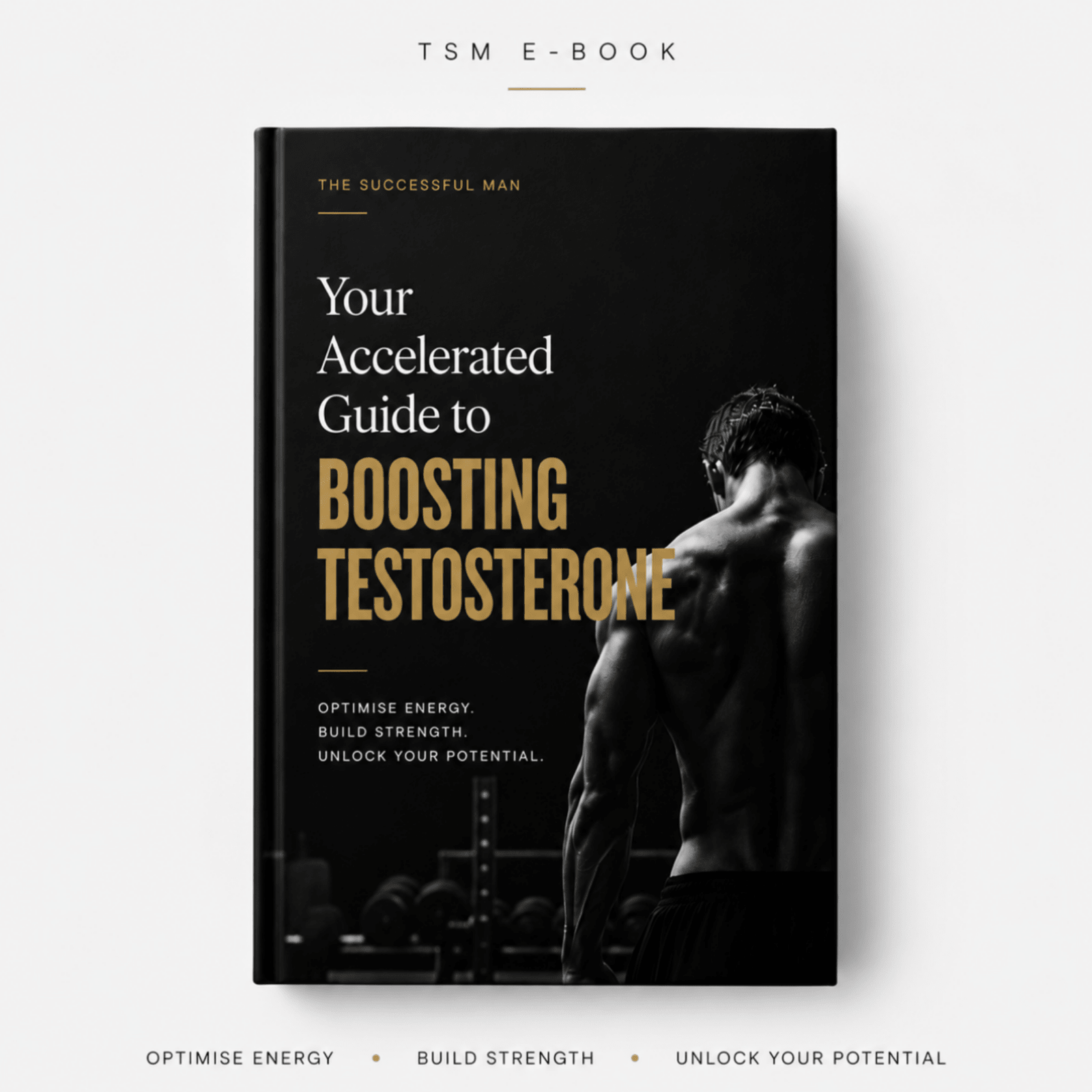 Accelerated Guide to Boosting Testosterone - The Successful Man Journal