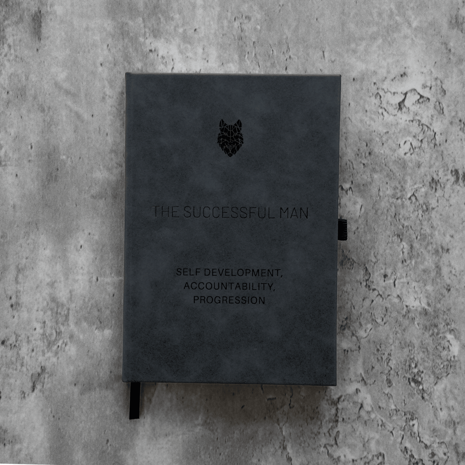 The Successful Man 2 - The Successful Man Journal