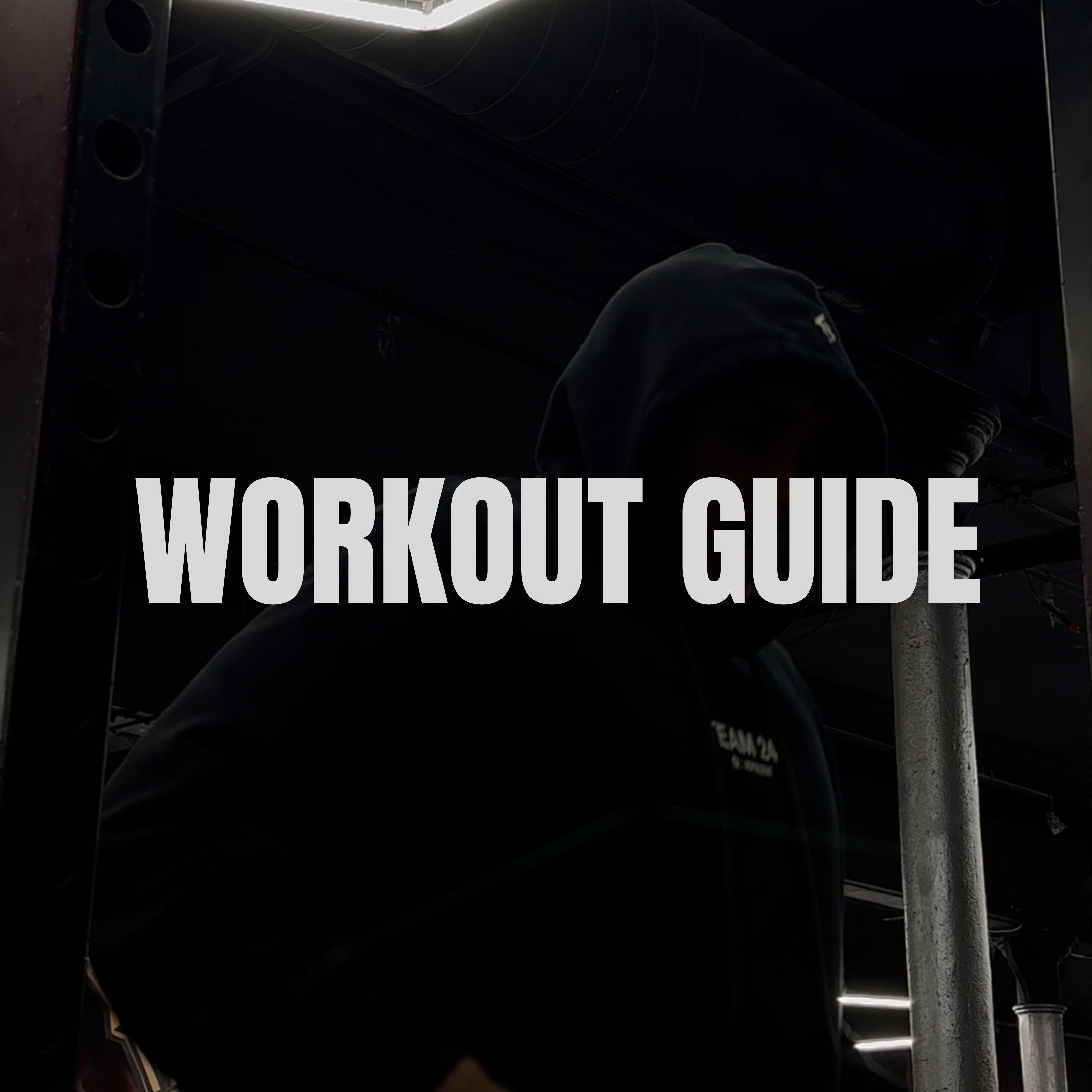 Workout Guide