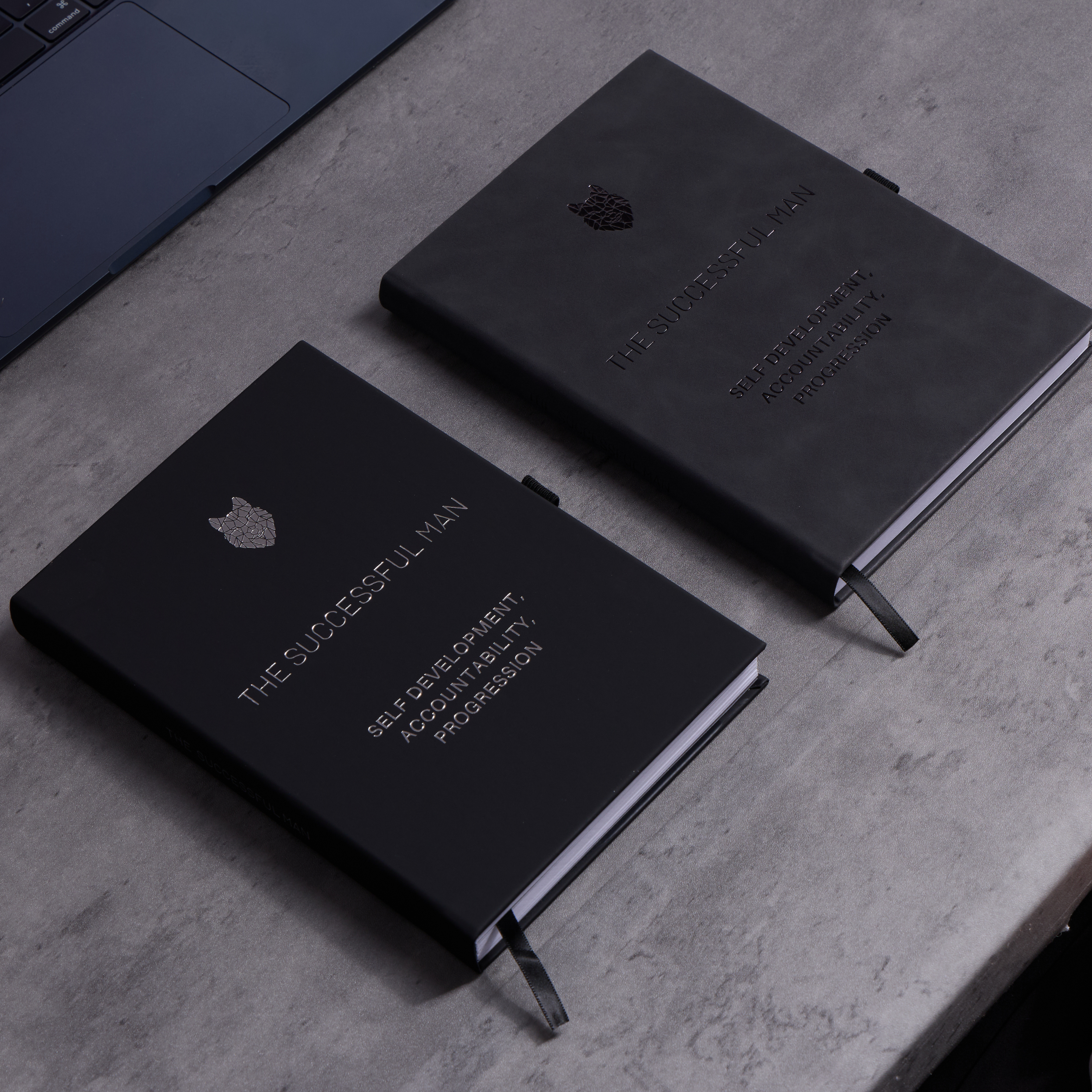 The Successful Man 1+2