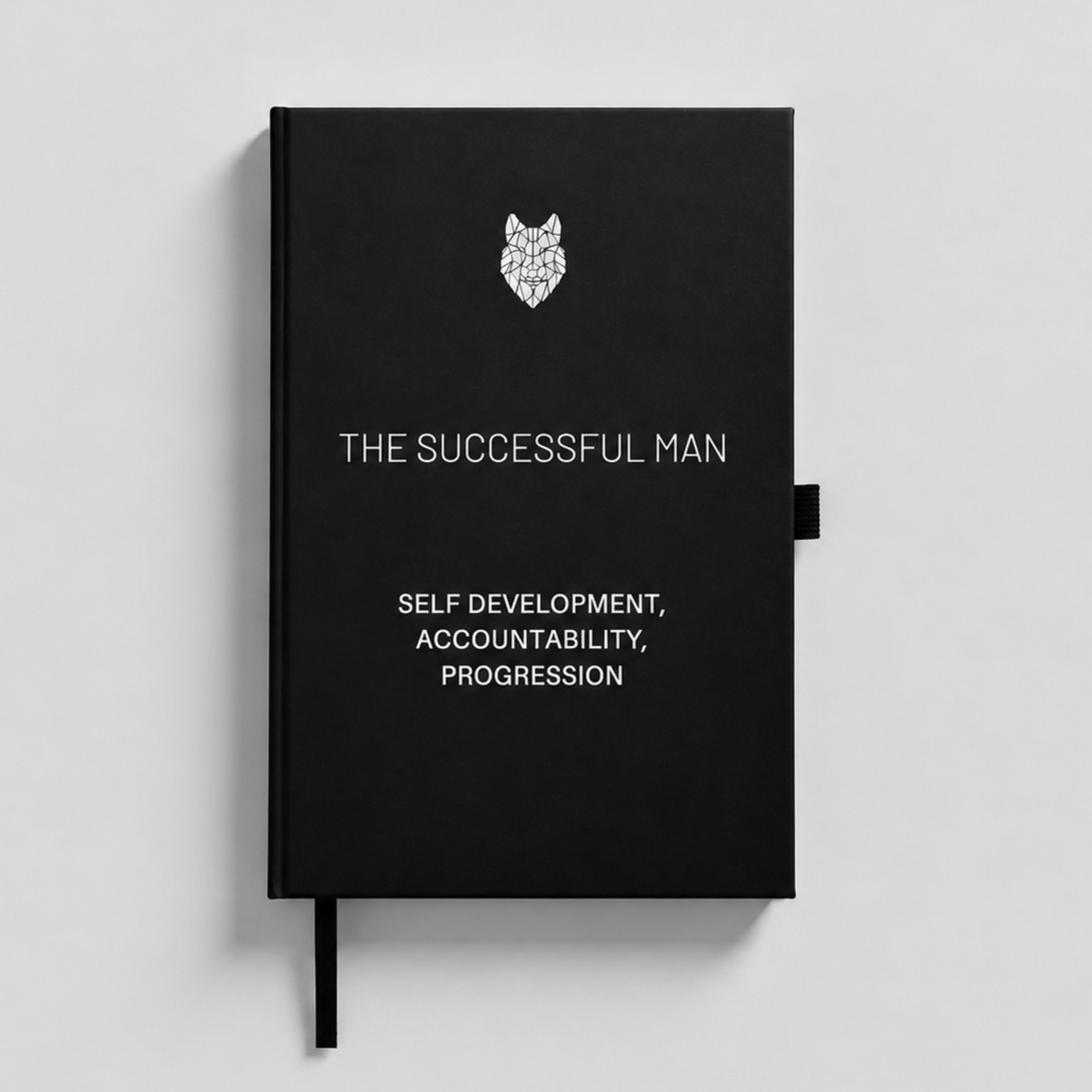 The Successful Man