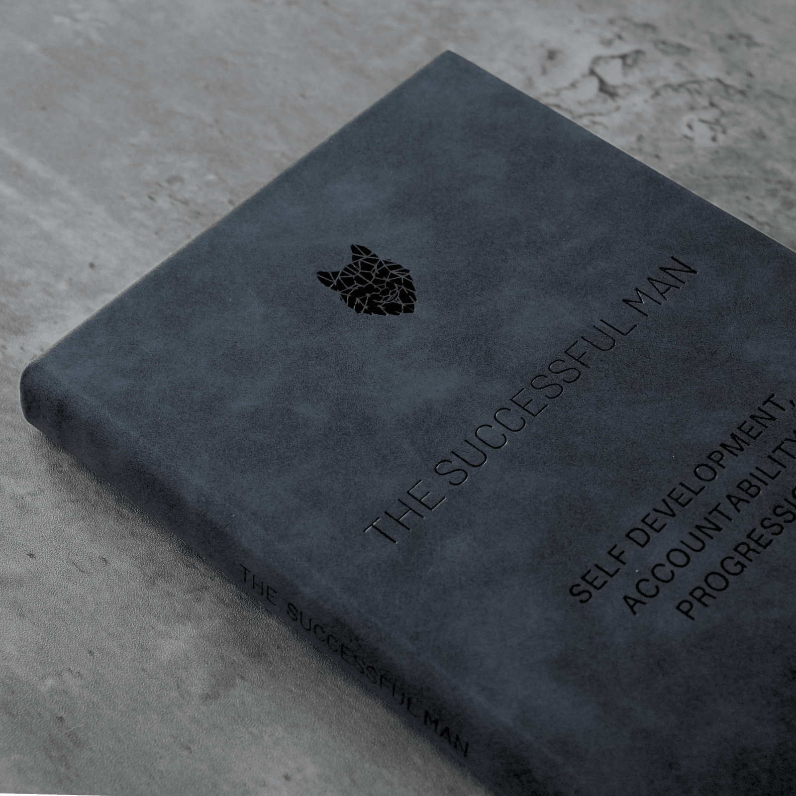 The Successful Man 2 - The Successful Man Journal