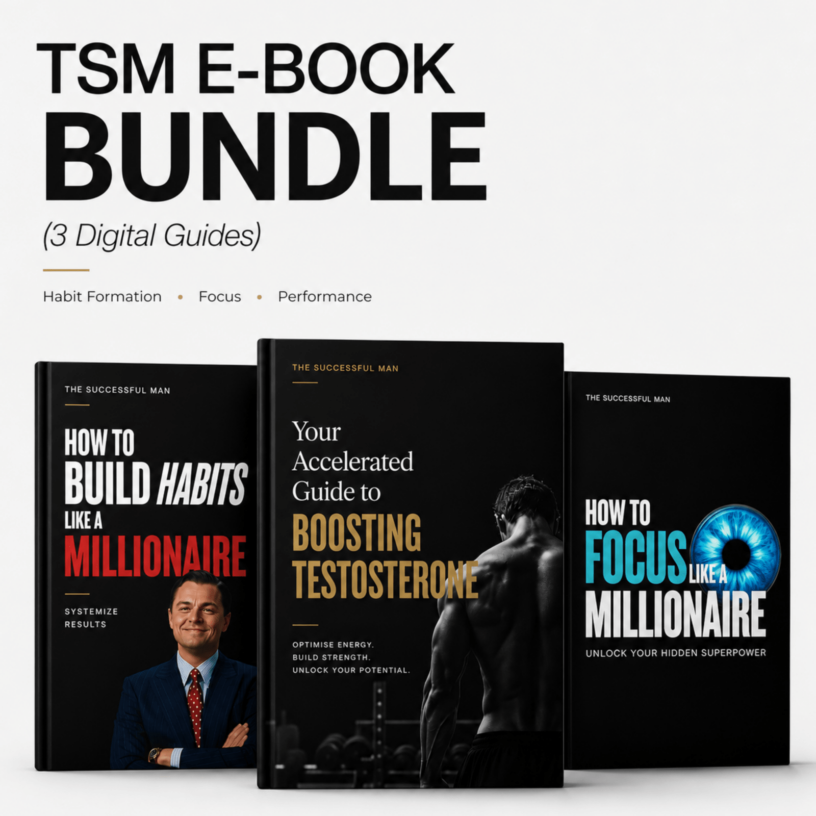 TSM E-Book Bundle - The Successful Man Journal
